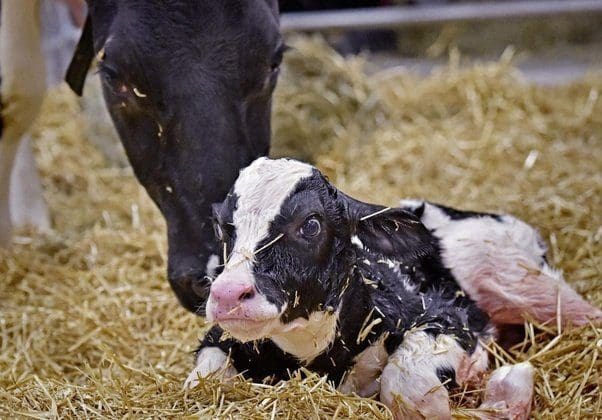 main qimg 09f1e1398fcc2a563505844506a984cc lq