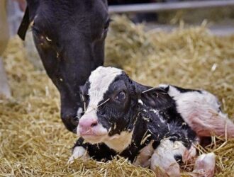 main qimg 09f1e1398fcc2a563505844506a984cc lq