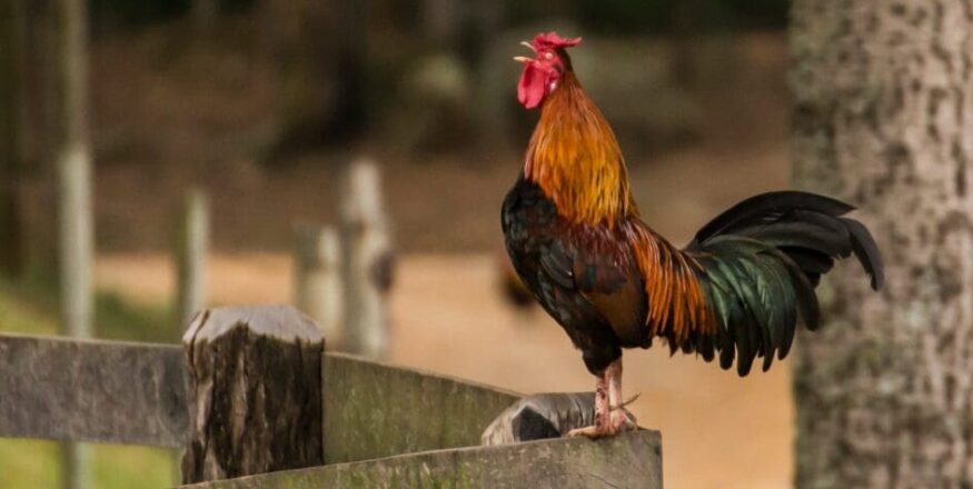 ricardo porto 1qctikWaSD8 unsplash