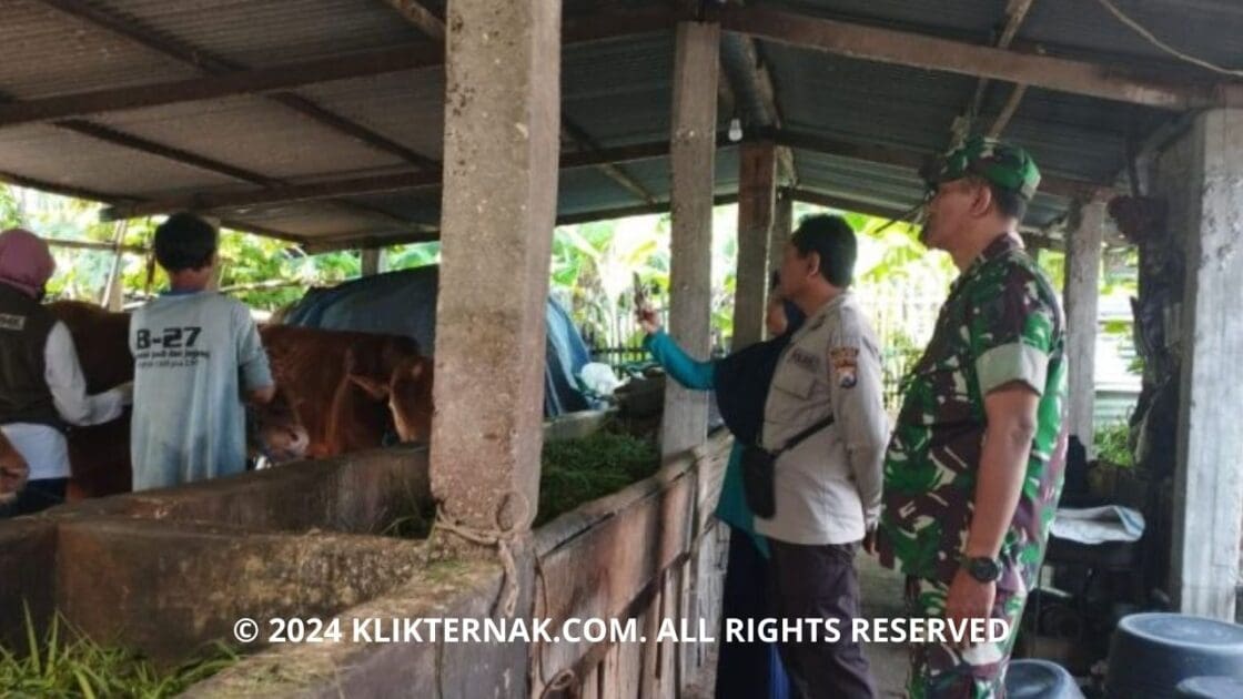 rempung klik ternak