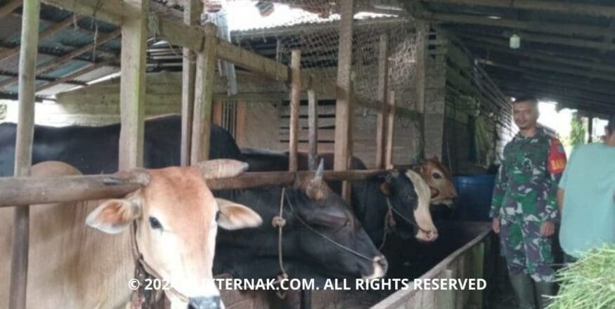 1 20240419 063542 0000