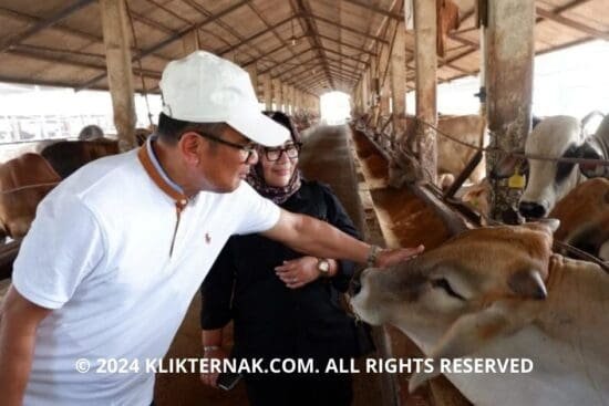 Thumbnail Website KT 1