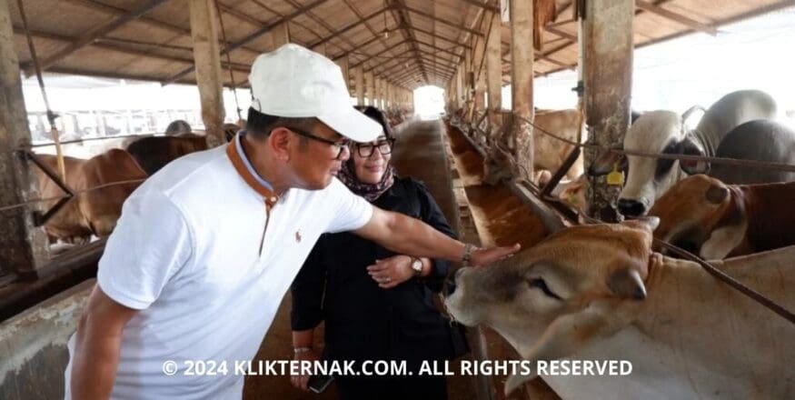 Thumbnail Website KT 1