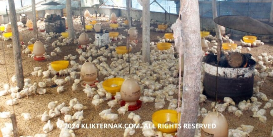 Thumbnail Website KT 2