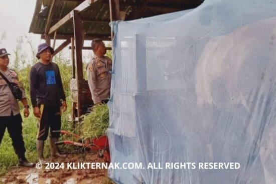 Thumbnail Website KT 3 1