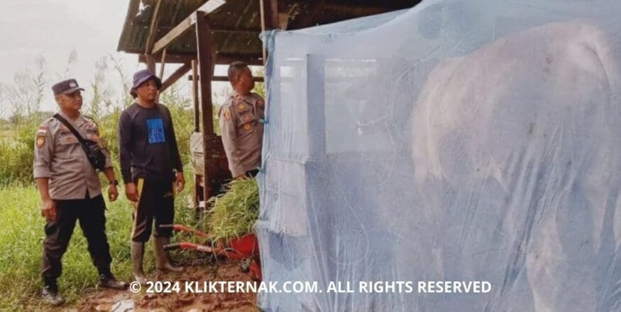 Thumbnail Website KT 3 1