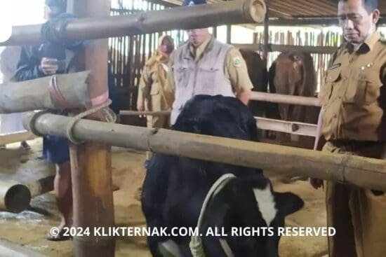 Thumbnail Website KT 3