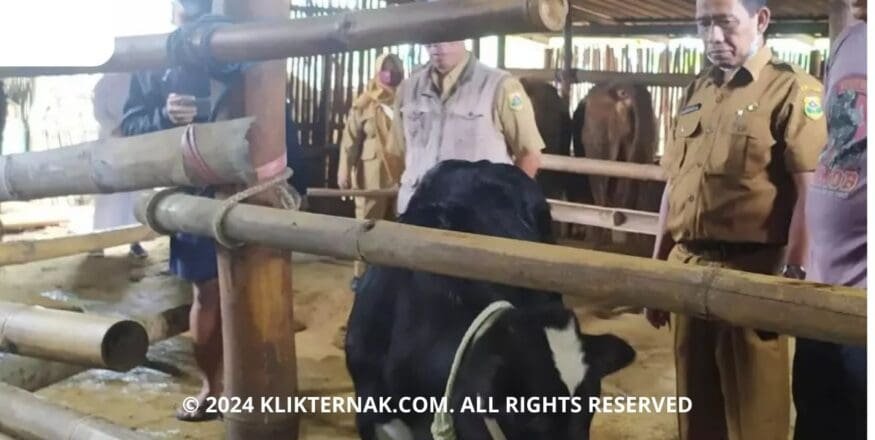 Thumbnail Website KT 3