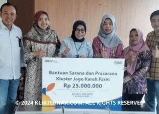 Thumbnail Website KT