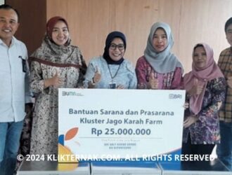 Thumbnail Website KT