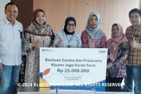 Thumbnail Website KT