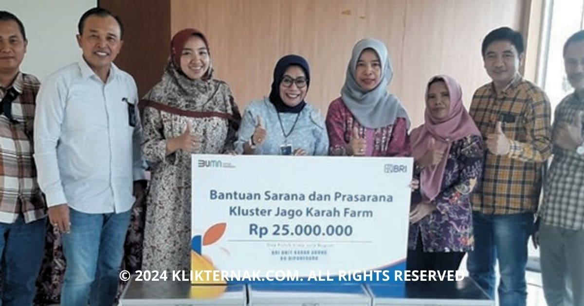 Thumbnail Website KT