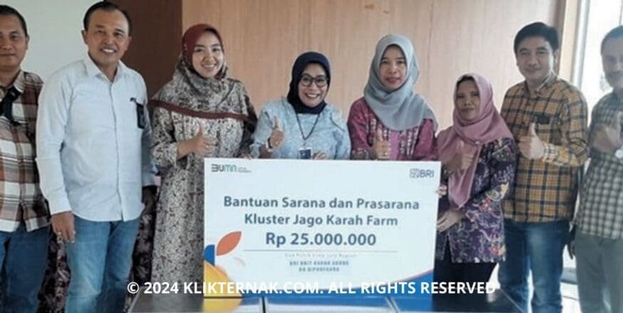 Thumbnail Website KT