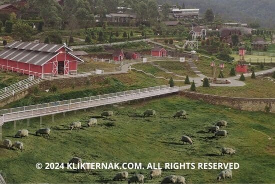 © 2024 KLIKTERNAK.COM ALL RIGHTS RESERVED 2