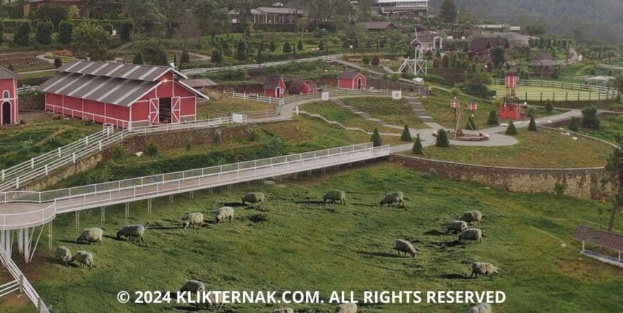 © 2024 KLIKTERNAK.COM ALL RIGHTS RESERVED 2