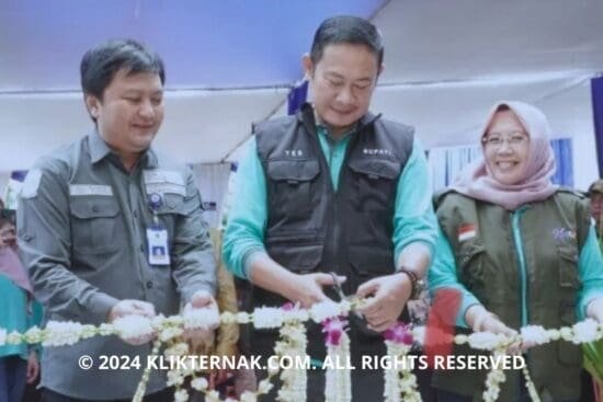 © 2024 KLIKTERNAK.COM ALL RIGHTS RESERVED 20240429 121310 0000