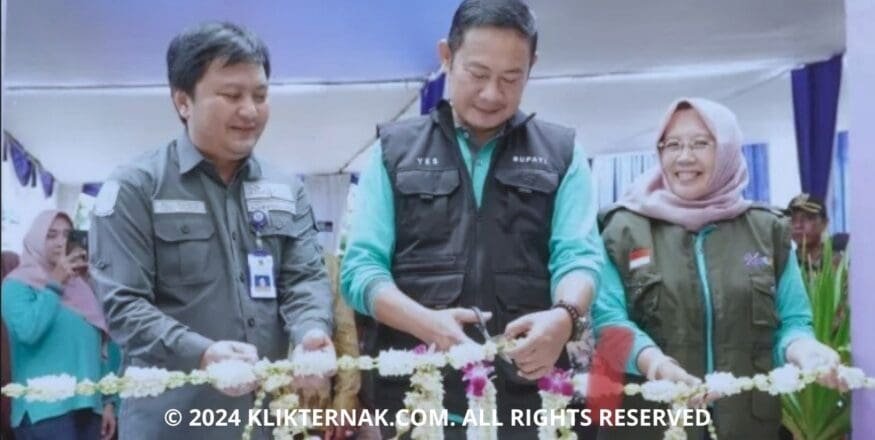 © 2024 KLIKTERNAK.COM ALL RIGHTS RESERVED 20240429 121310 0000