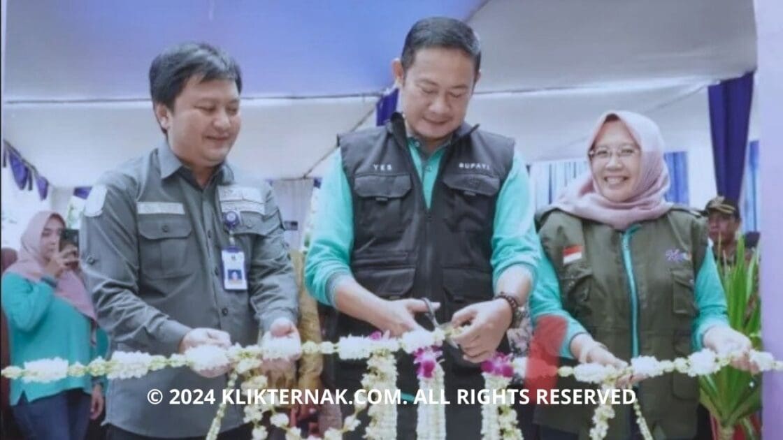 © 2024 KLIKTERNAK.COM ALL RIGHTS RESERVED 20240429 121310 0000