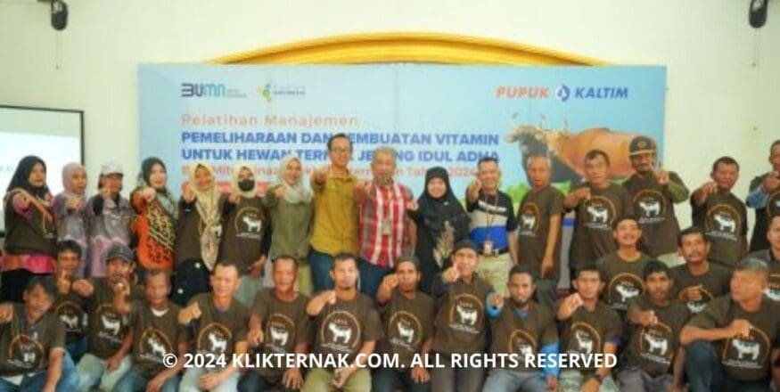 1 20240510 102653 0000