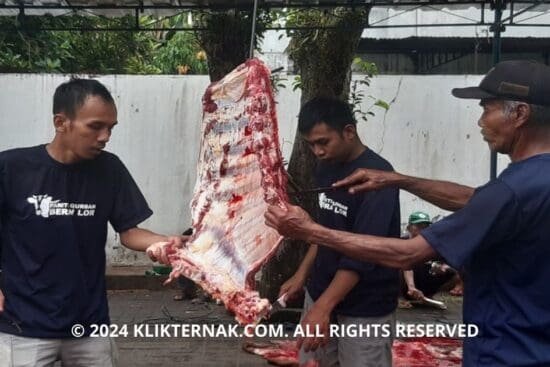 2 20240510 102653 0001