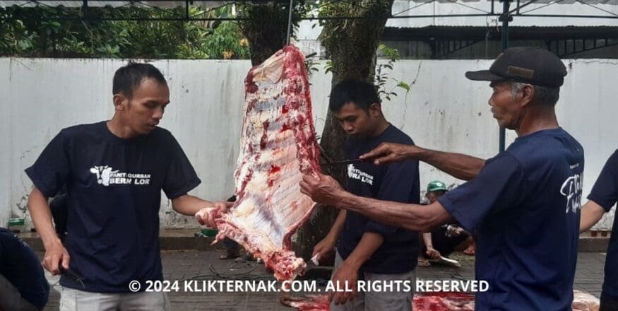 2 20240510 102653 0001