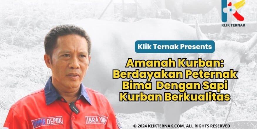 IMG 20240531 WA0000 scaled