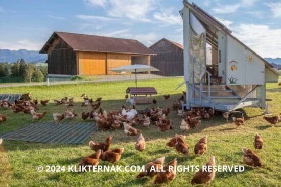 Thumbnail Website KT 1 1