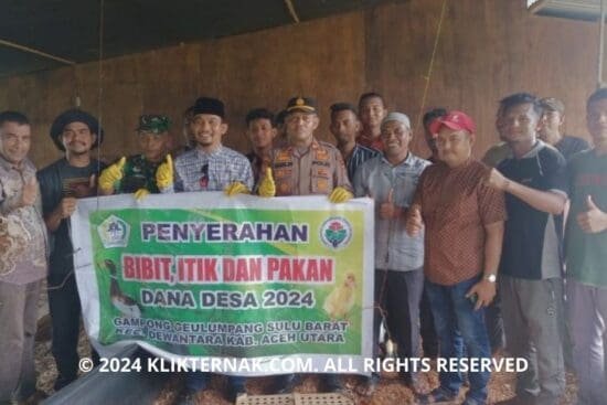 Thumbnail Website KT 1