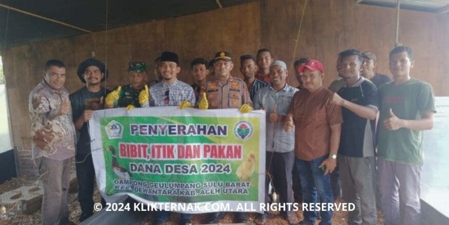 Thumbnail Website KT 1