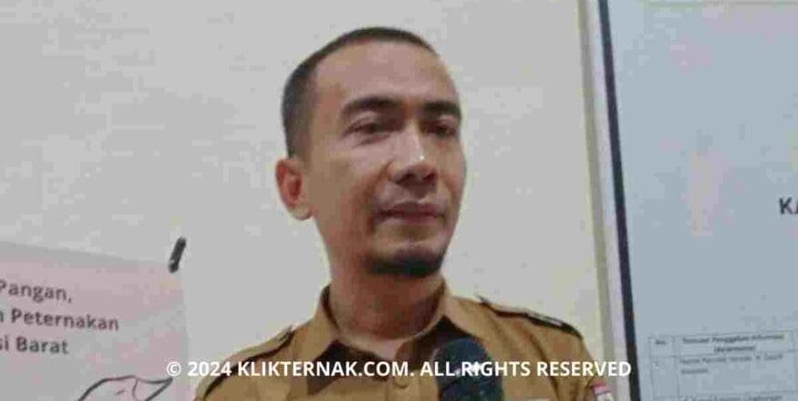 Thumbnail Website KT 4