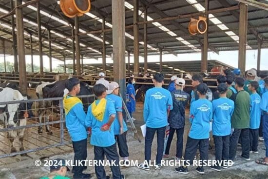 1 20240627 142600 0000