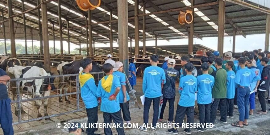 1 20240627 142600 0000