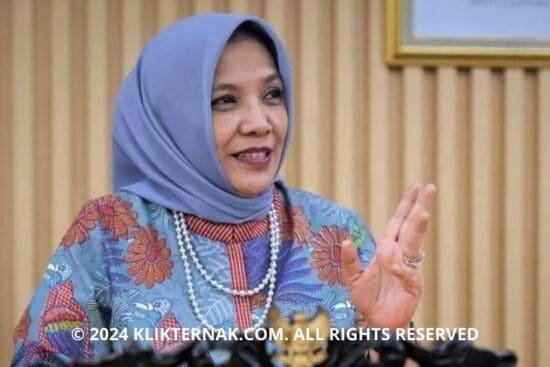 2 20240627 142600 0001