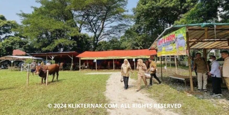 Thumbnail Website KT 2 1