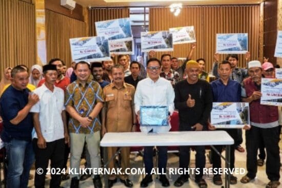 Program Asuransi Peternakan di Bantaeng Jadi Episentrum di Sulsel Ilham Azikin Terima Penghargaan dari Jasindo