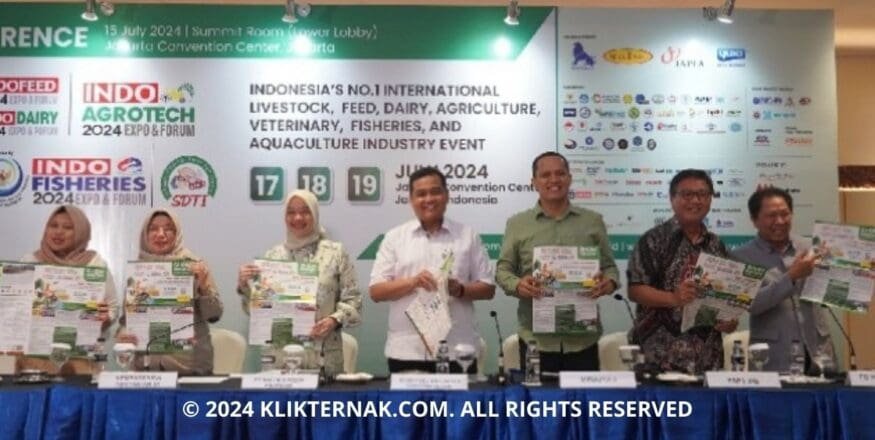 Thumbnail Website KT 5