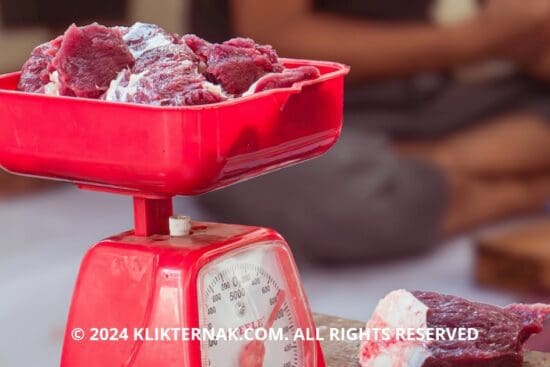 Thumbnail Website KT 20240721 084324 0000