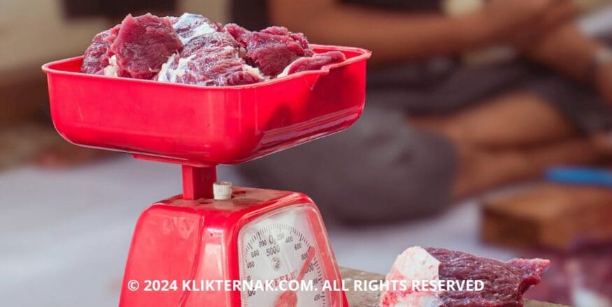 Thumbnail Website KT 20240721 084324 0000