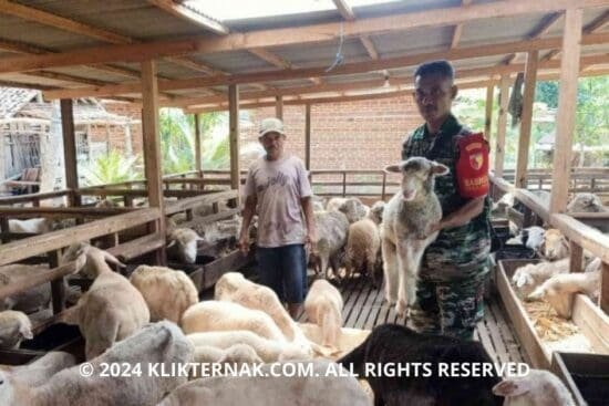 Thumbnail Website KT 20240729 103224 0000