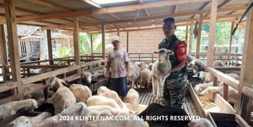 Thumbnail Website KT 20240729 103224 0000