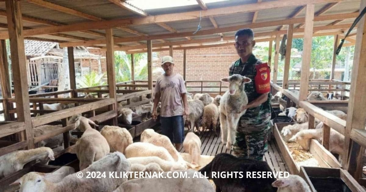 Thumbnail Website KT 20240729 103224 0000