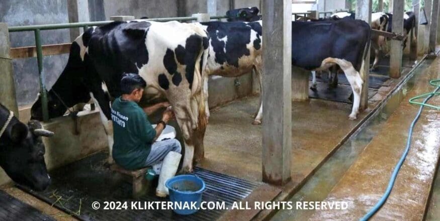 Thumbnail Website KT 11