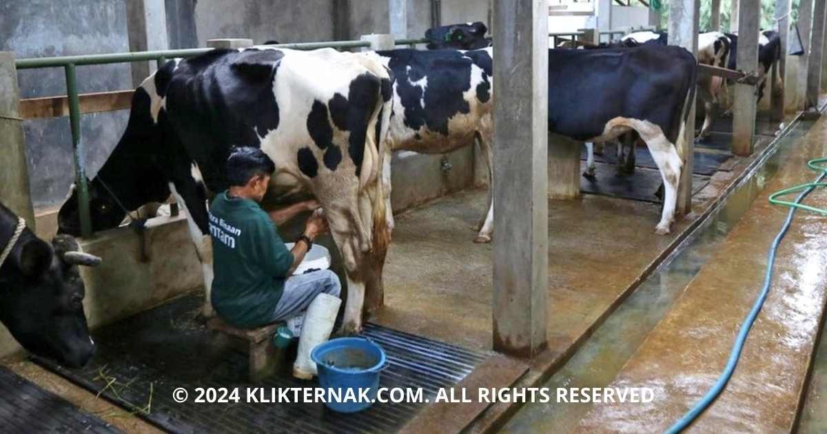 Thumbnail Website KT 11