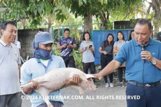 Thumbnail Website KT 12 1