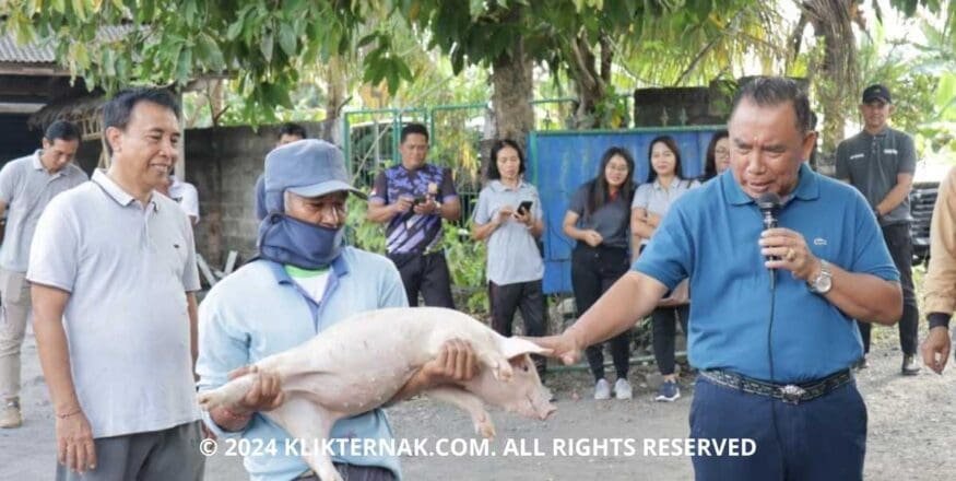 Thumbnail Website KT 12 1