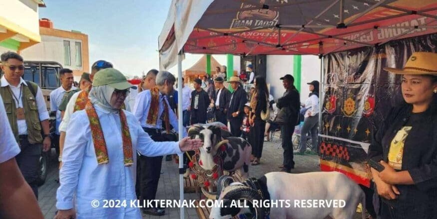 Thumbnail Website KT 12