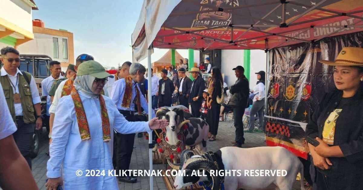 Thumbnail Website KT 12