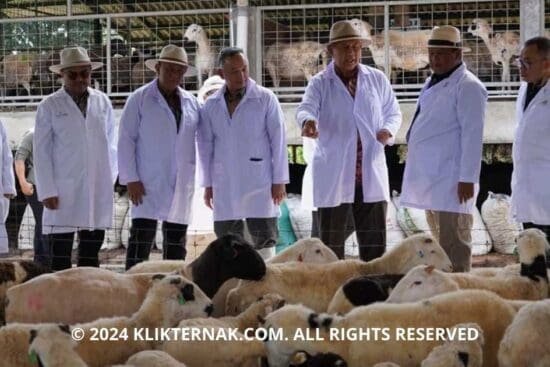 Thumbnail Website KT 14