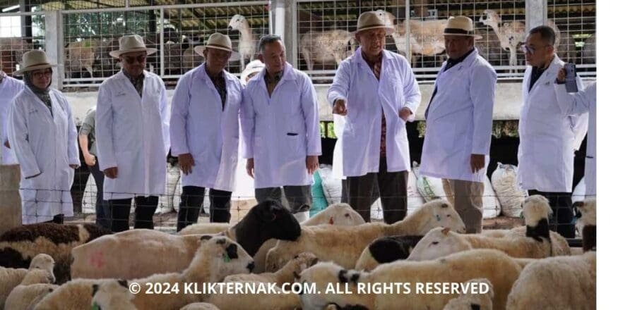 Thumbnail Website KT 14