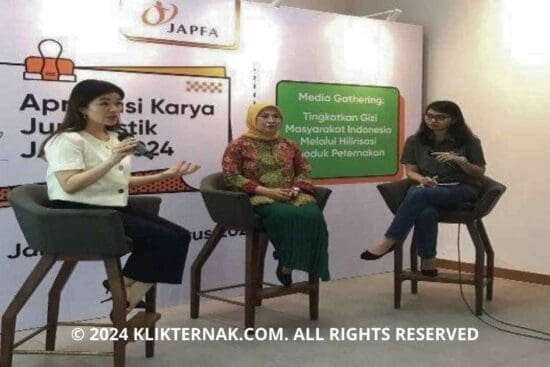 Thumbnail Website KT 8